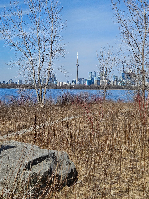 Toronto skyline from the islands.